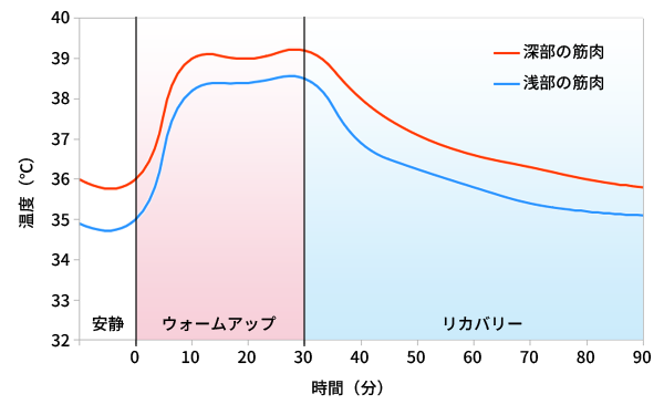 ウォーミングアップ時の筋温の変化