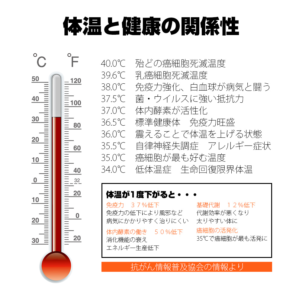 ファラン EMS温熱ベルト 製品画像 サムネイル